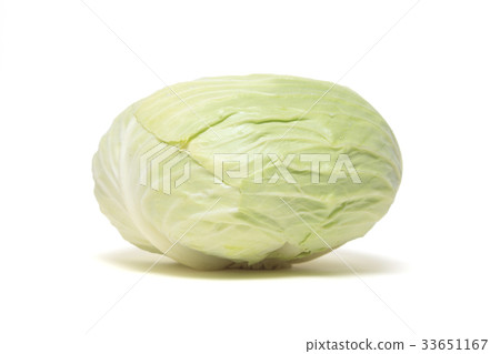 cabbage  33651167