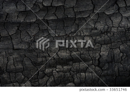 Details on the surface of charcoal. 33651746