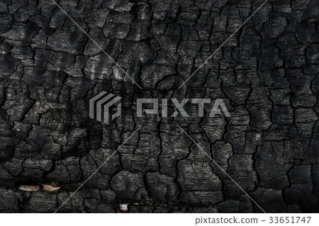 Details on the surface of charcoal. 33651747