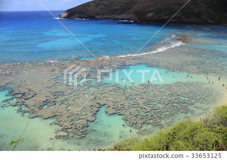 夏威夷哈瑙瑪灣 夏威夷哈瑙瑪灣 33653125