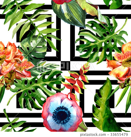 Tropical Hawaii leaves palm tree and tropical 33655479