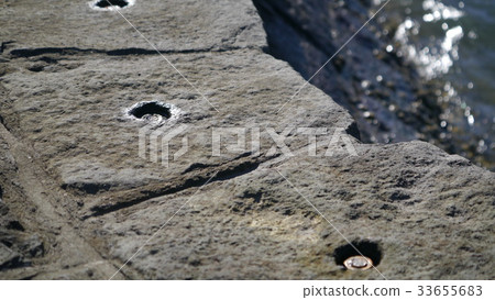 Shore scenario 33655683