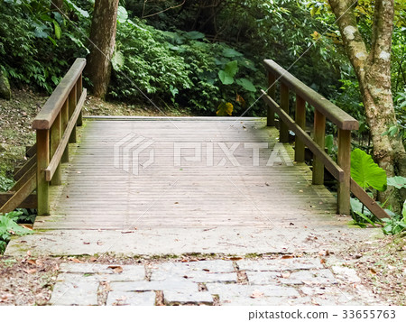 森林步道 33655763