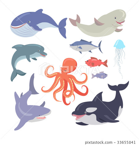 Whale, Shark, Octopus, Seals, Jellyfish, Salmon 33655841