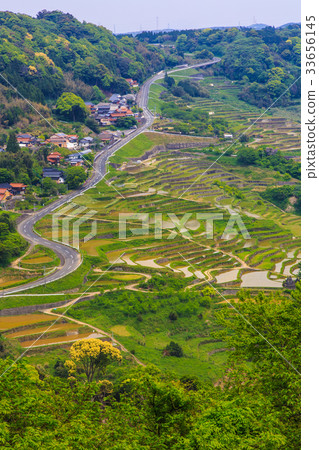 大浦田田淹沒了佐賀縣的風景 大浦田田淹沒了佐賀縣的風景 33656145