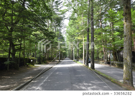 Daichi Ooba (Karuizawa-cho, Kitasaku-gun, Nagano Prefecture) 33656282
