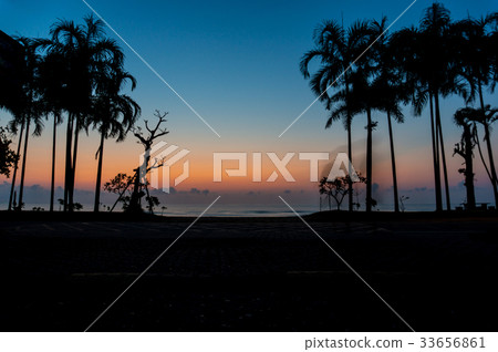 Sunset with silhouette coconut trees 33656861