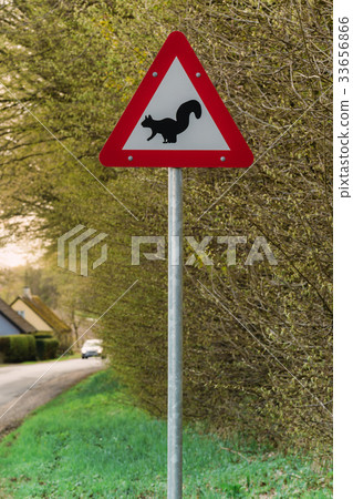 Squirrel warning sign 33656866
