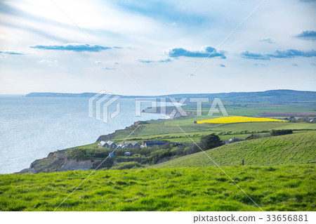 Rural landscape and cliffs on the Isle of Wight Rural landscape and cliffs on the Isle of Wight 33656881