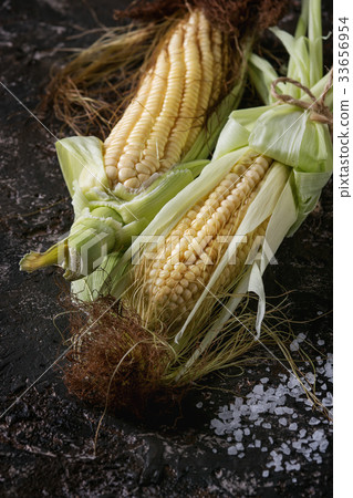 圖庫照片: young raw corn cobs