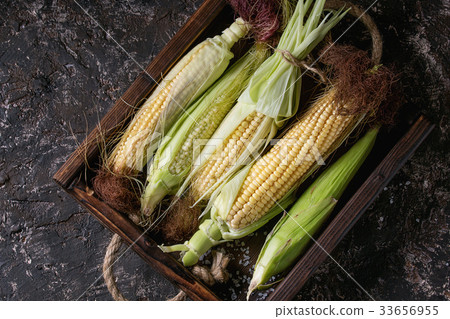 圖庫照片: young raw corn cobs