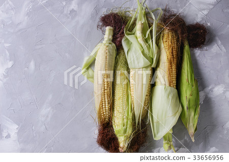 Young raw corn cobs 33656956