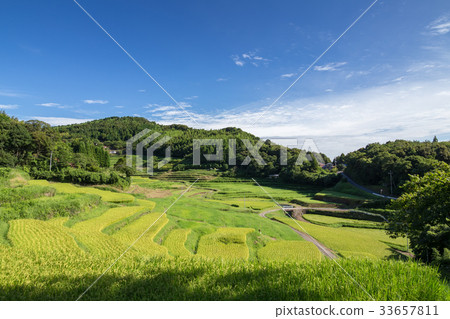Nakagaki Uchi Tanada 33657811