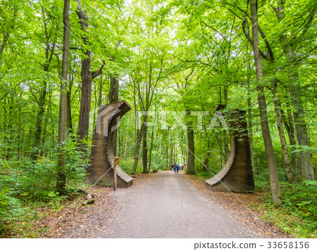 Funa primary forest and promenade Heinich National Park Germany Funa primary forest and promenade Heinich National Park Germany 33658156