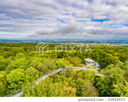 Beech primary forest Heinig National Park Germany Beech primary forest Heinig National Park Germany 33658453