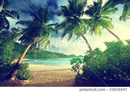 beach Takamaka, Mahe island, Seychelles 33658947