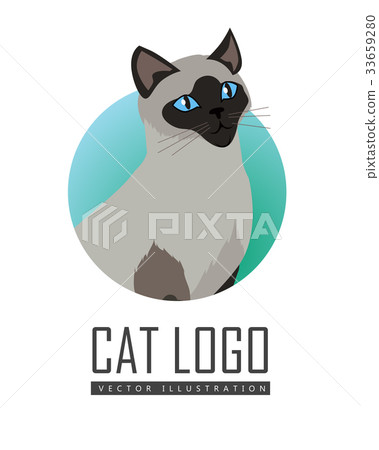 Siamese Cat Vector Flat Design Illustration 图库插图