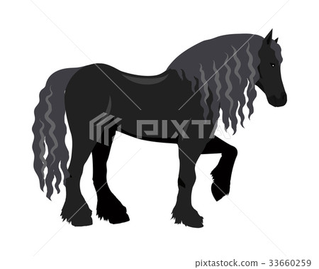Draft Horse Vector Illustration in Flat Design Draft Horse Vector Illustration in Flat Design 33660259