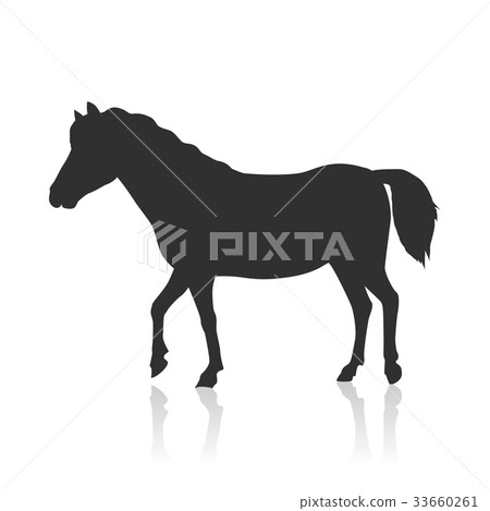 Horse Vector Illustration in Flat Design 33660261