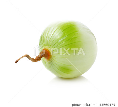 onion isolated on white background onion isolated on white background 33660475