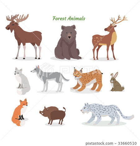 Forest Animals Set. Wildlife Characters. Vector Forest Animals Set. Wildlife Characters. Vector 33660510