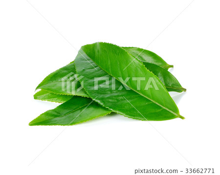 tea leaf isolated on white background 33662771