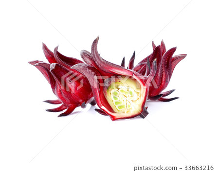Hibiscus sabdariffa or roselle fruits isolated Hibiscus sabdariffa or roselle fruits isolated 33663216