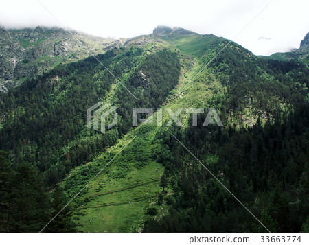 Mountains covered with green trees. Summertime. Mountains covered with green trees. Summertime. 33663774