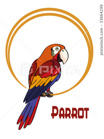 Cartoon Parrot on the Ring 33664299