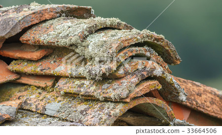Old tile roof with lichen Old tile roof with lichen 33664506