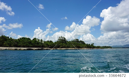 tropical coast tropical coast 33664672