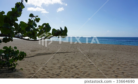 playa grande playa grande 33664690