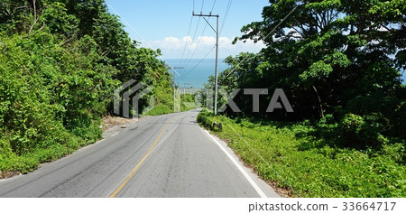 tropical street tropical street 33664717