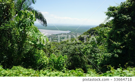 tropical street 33664718