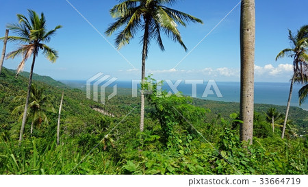 samana viewpoint 33664719