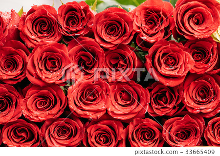 圖庫照片: bouquet of beautiful red roses with drops of water