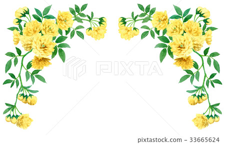 蛾玫瑰頂部框架材料 33665624