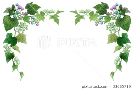 Upper frame material of wild boar Upper frame material of wild boar 33665719
