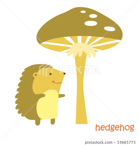 animals set - hedgehog 33665773