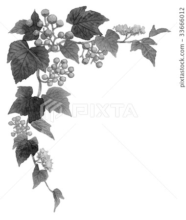 Upper frame material monochrome of wild boar 33666012