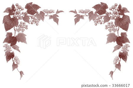 Upper frame material sepia of the wild boar 33666017