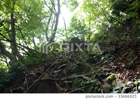 Mount Hinode mountain trail 33666025