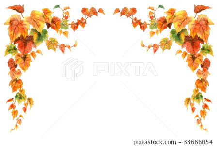Top frame material of autumn leaves ivy Top frame material of autumn leaves ivy 33666054