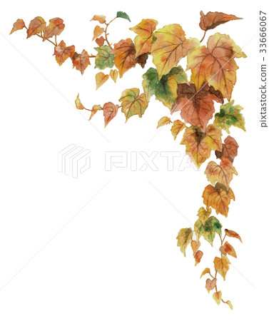 Top frame material of autumn leaves ivy 33666067