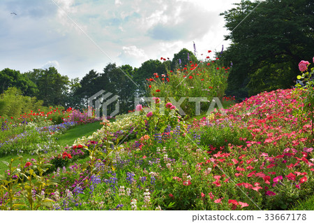 全國都市綠化橫濱交易會,Satoyama花園會場 全國都市綠化橫濱交易會,Satoyama花園會場 33667178