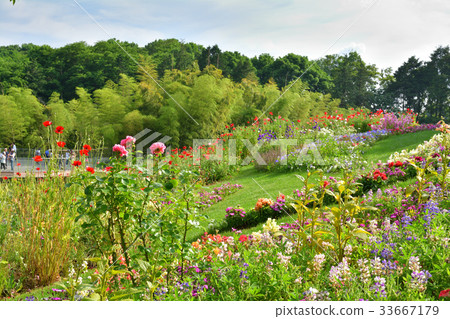 全國都市綠化橫濱交易會,Satoyama花園會場 全國都市綠化橫濱交易會,Satoyama花園會場 33667179