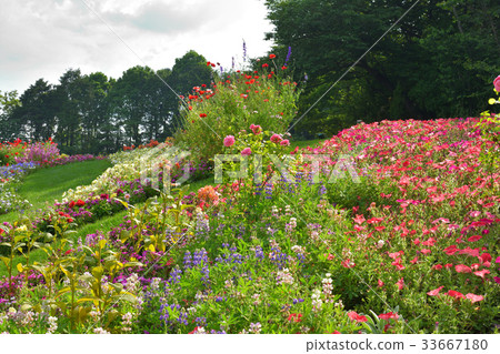 全國都市綠化橫濱交易會，Satoyama花園會場 33667180