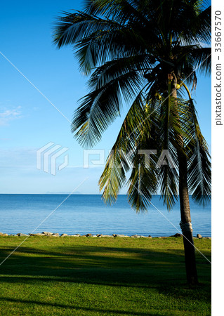 Fiji, Resort 33667570