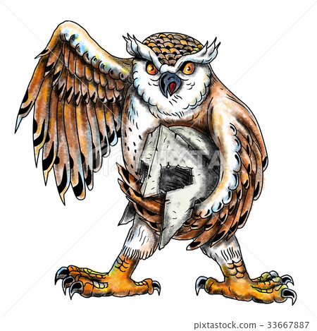 Owl Holding Spartan Helmet Tattoo 33667887