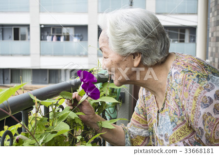 奶奶很高興看到種花 奶奶很高興看到種花 33668181